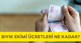 bıyık ekimi ücretleri ne kadar